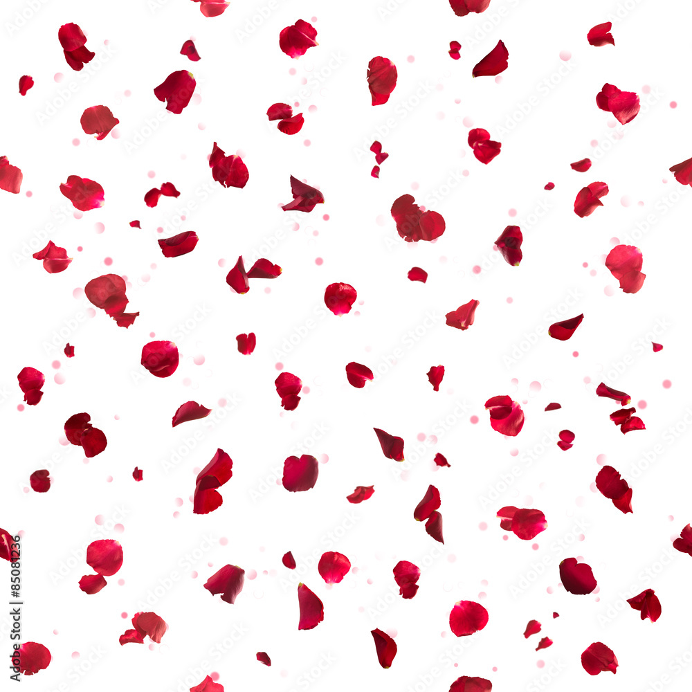 Scattered Red Roses Petals On White Stock Photo 135954065