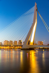 Fototapete Erasmusbrücke Erasmusbrücke Rotterdam weisser Schwan  © vichie81