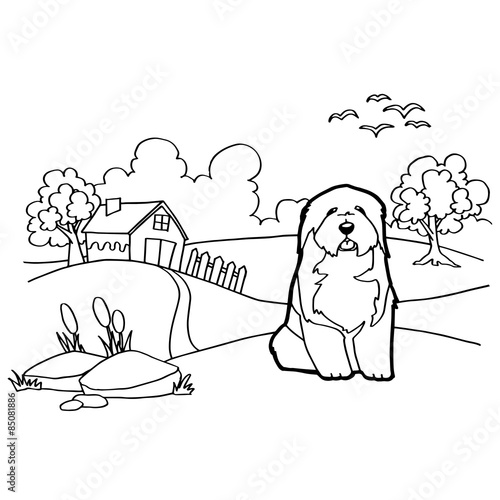 Coloring book with dog and landscape