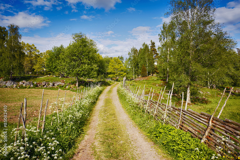 small country-road surrounded by flowers and forest, Sweden