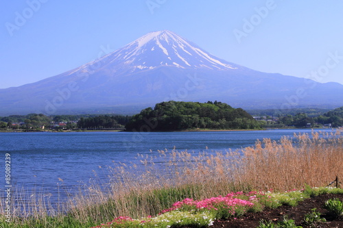 Beautiful Mt.Fuji mountain with clear blue sky from Lake kawaguchi, Japan