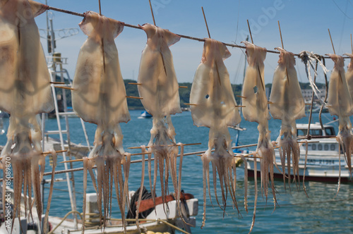 Dried squid