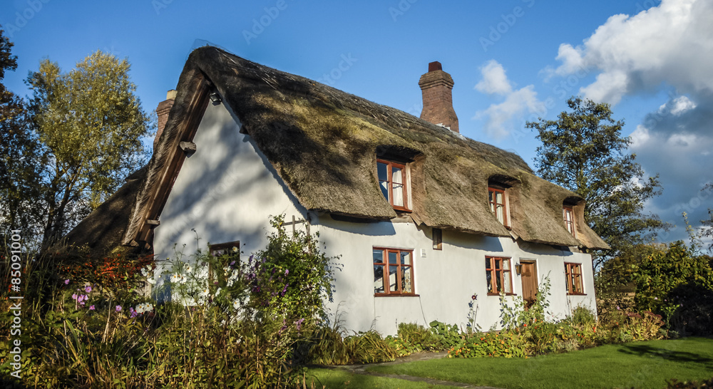 Fototapeta premium Thatched Cottage