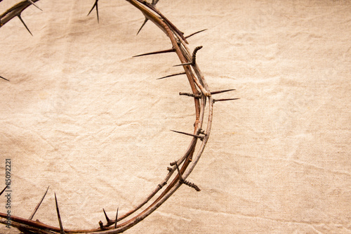 Obraz na płótnie Crown of thorns