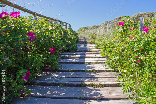 Wangerooge 20