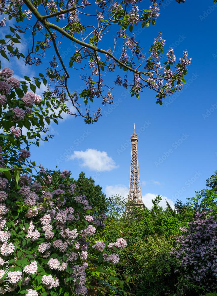 Eiffel Tower and colorful blossoming trees, Paris