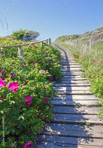 Wangerooge 21