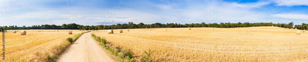 Straw field panorama
