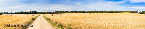 Fotografie, Tablou Straw field panorama