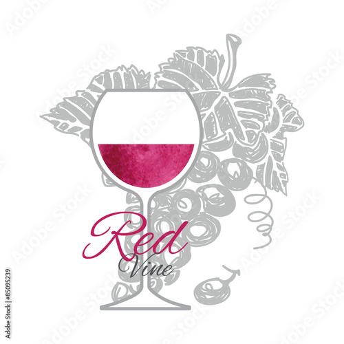 Glass of red wine with branch grapes on background. Hand drawn sketch and art style.