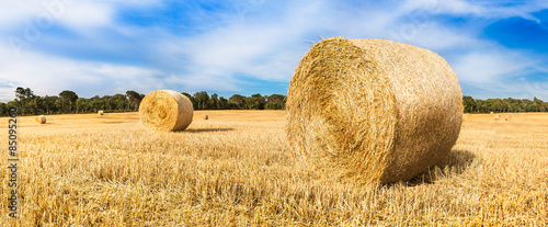 Obraz na płótnie Straw field panorama w salonie