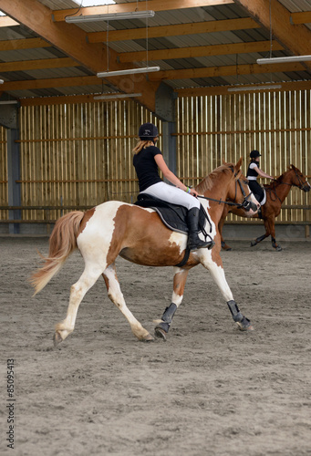 dressage © Image'in
