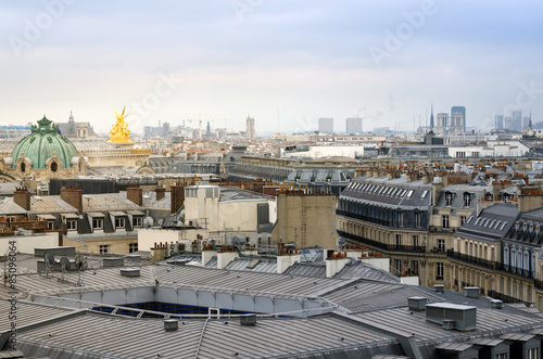 Beautiful Parisian skyline