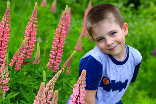 boy and lupin flowers in the garden