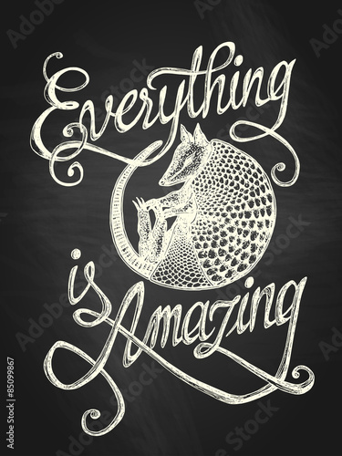Illustration of armadillo with "Everything is amazing" hand drawn quote, white on the blackboard background