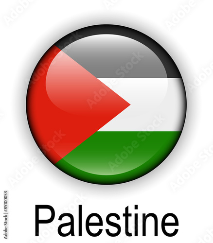 palestine official state flag #85100053