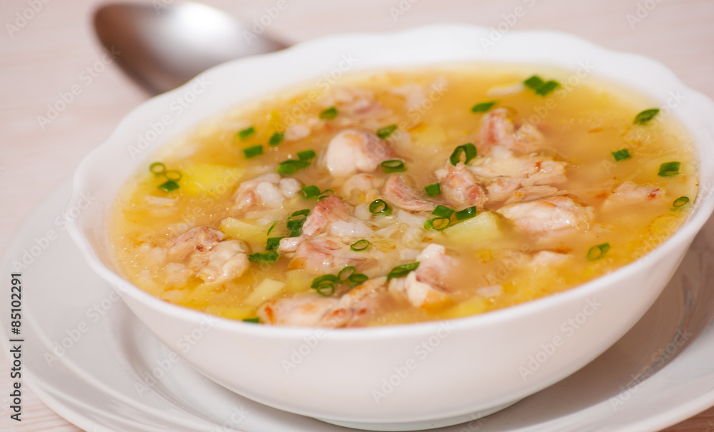 chicken soup with vegetables and rice