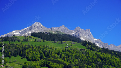 View of mountains and forest Engelberg, Switzerland