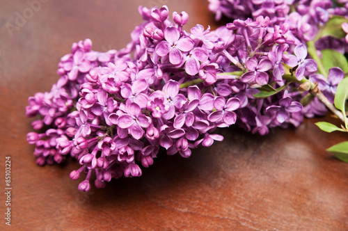 beautiful cut lilac flowers laying on a table