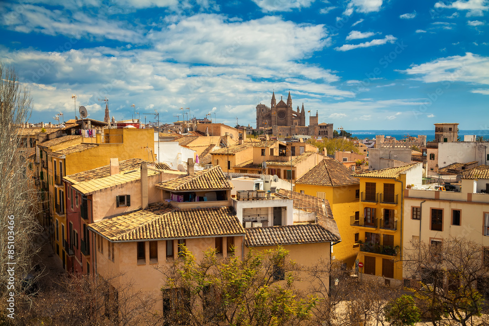 residential houses and the Palma Cathedral
