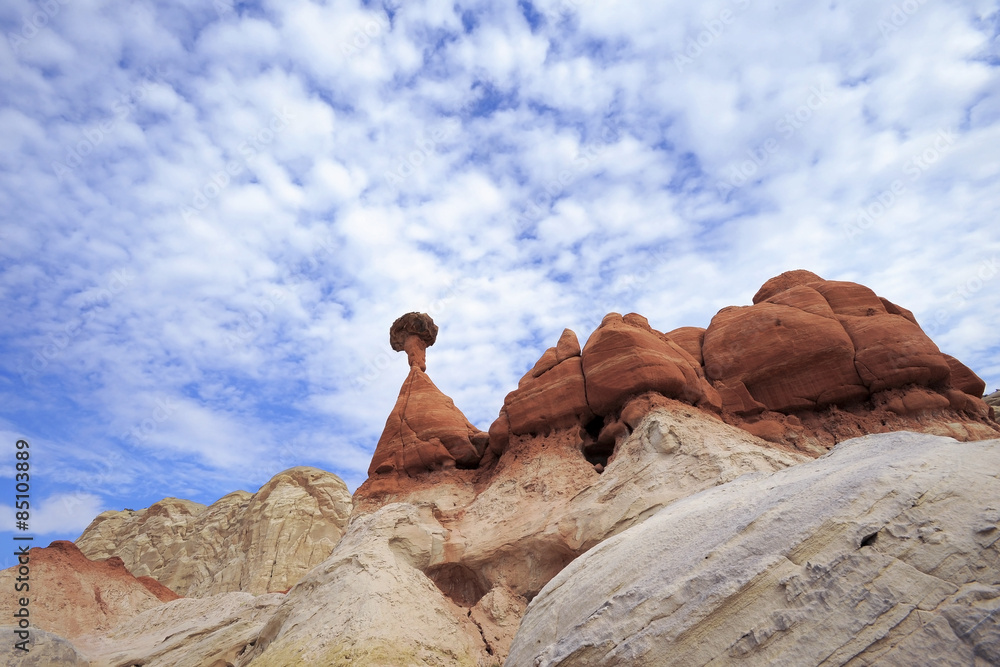 Toadstool Hoodoo Toadstool Hoodoo