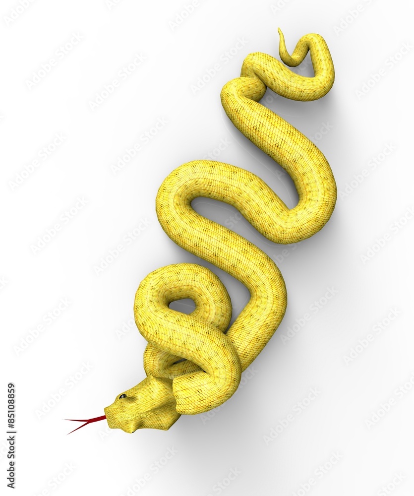 Obraz premium snake isolated on white ready to attack