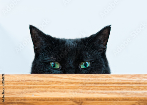 Fotografía mischievous black cat