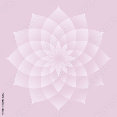 Lotus; an important sacred symbol in the Buddhism and Hinduism.