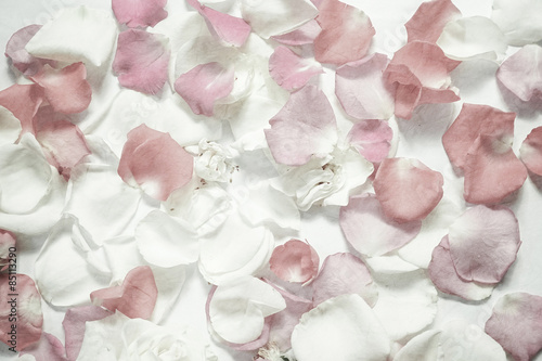 Fototapeta Naklejka Na Ścianę i Meble -  sweet color rose petals on mulberry paper texture for romantic background


