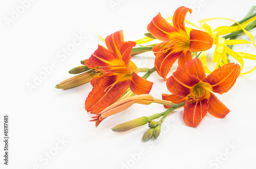 orange wild lilyes