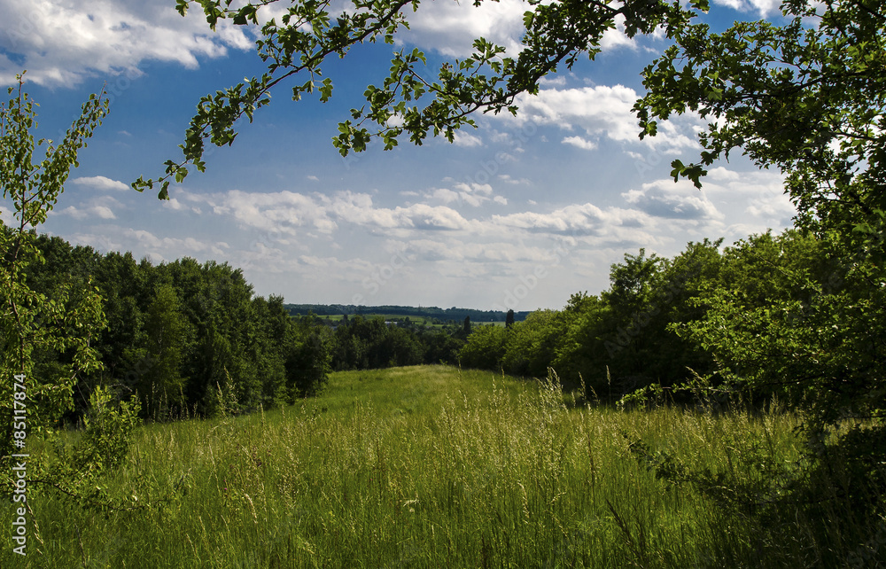 Obraz premium Летний пейзаж