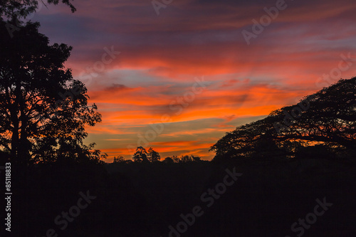 Sunset Cloud Colors Trees Slihouetted Contrast