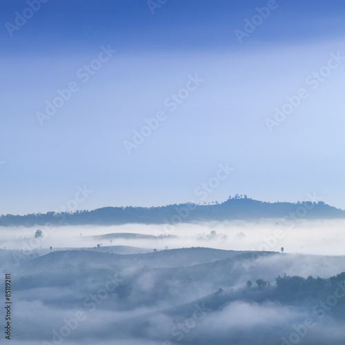 Fog covered mountains and forest in the morning.