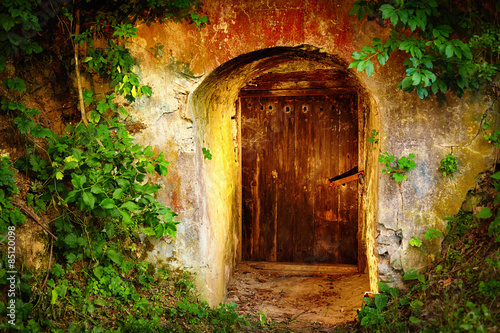 Fototapeta Naklejka Na Ścianę i Meble -  old entrance door in forest. Wine cellar