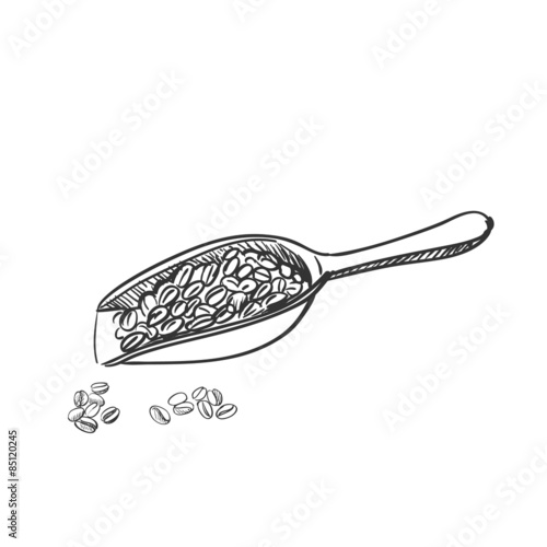 doodle Coffee beans and wooden spoon