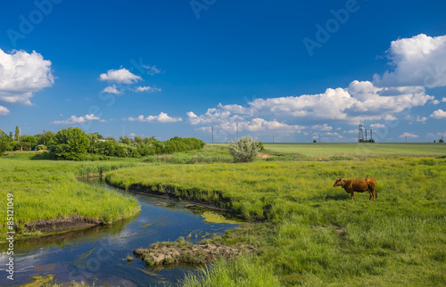 green grass, river, clouds  and cows
