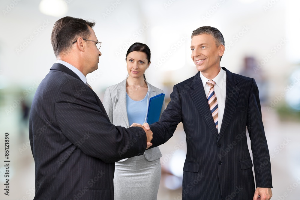 Interview, Job Interview, Handshake. Interview, Job Interview, Handshake.
