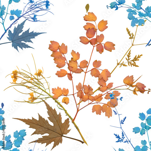 Seamless patterns with Beautiful flowers, watercolor illustration