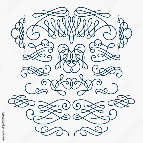 Calligraphy Flourishes / Vector