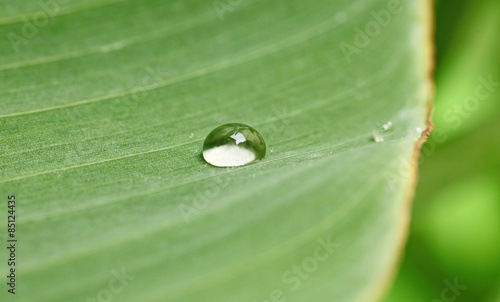 Goutte de pluie