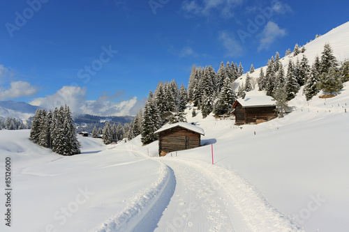Winterwanderweg_2015
