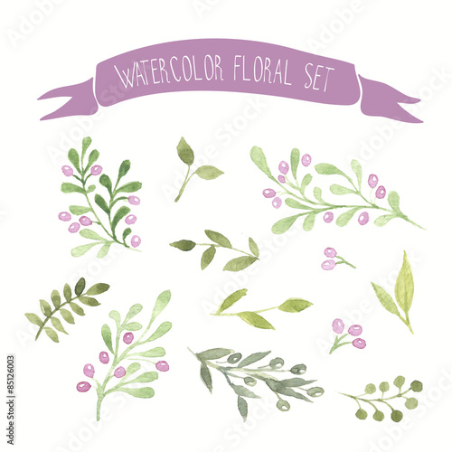 Olive colored watercolor vector floral set