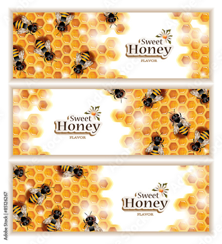 Fototapet Honey Banners with Working Bees