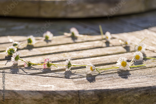 Fototapeta Naklejka Na Ścianę i Meble -  Daisy Chain on a wooden table in bright sunlight