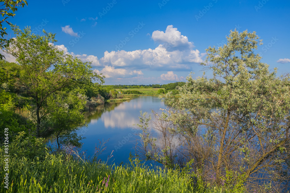 Calm beautiful rural landscape with a lake 