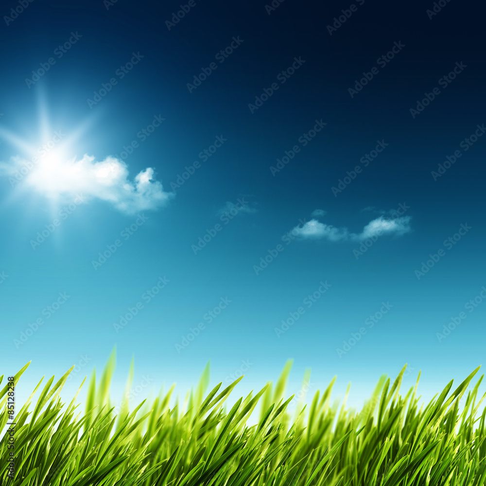 Beauty summer day. Abstract natural landscape with green grass a Beauty summer day. Abstract natural landscape with green grass a