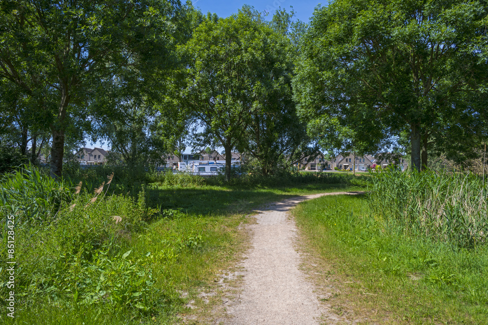 Footpath through a sunny forest along a canal