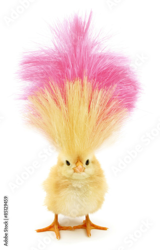Crazy chick with ridiculous yellow pink hair