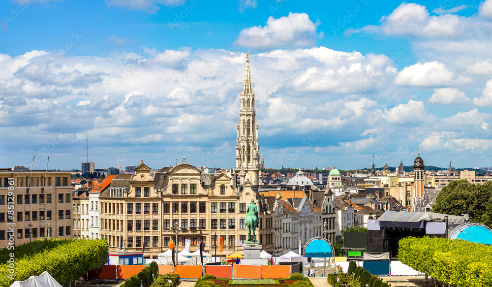 Fototapeta premium Panorama of Brussels