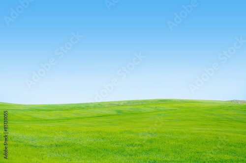 Sky, Grass, Field.